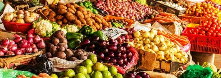 Fresh Brain Foods Fresh Brain Foods